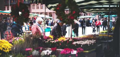 unsplash.com / Todd Gardner