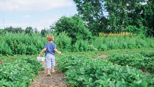 unsplash.com / Paige Cody